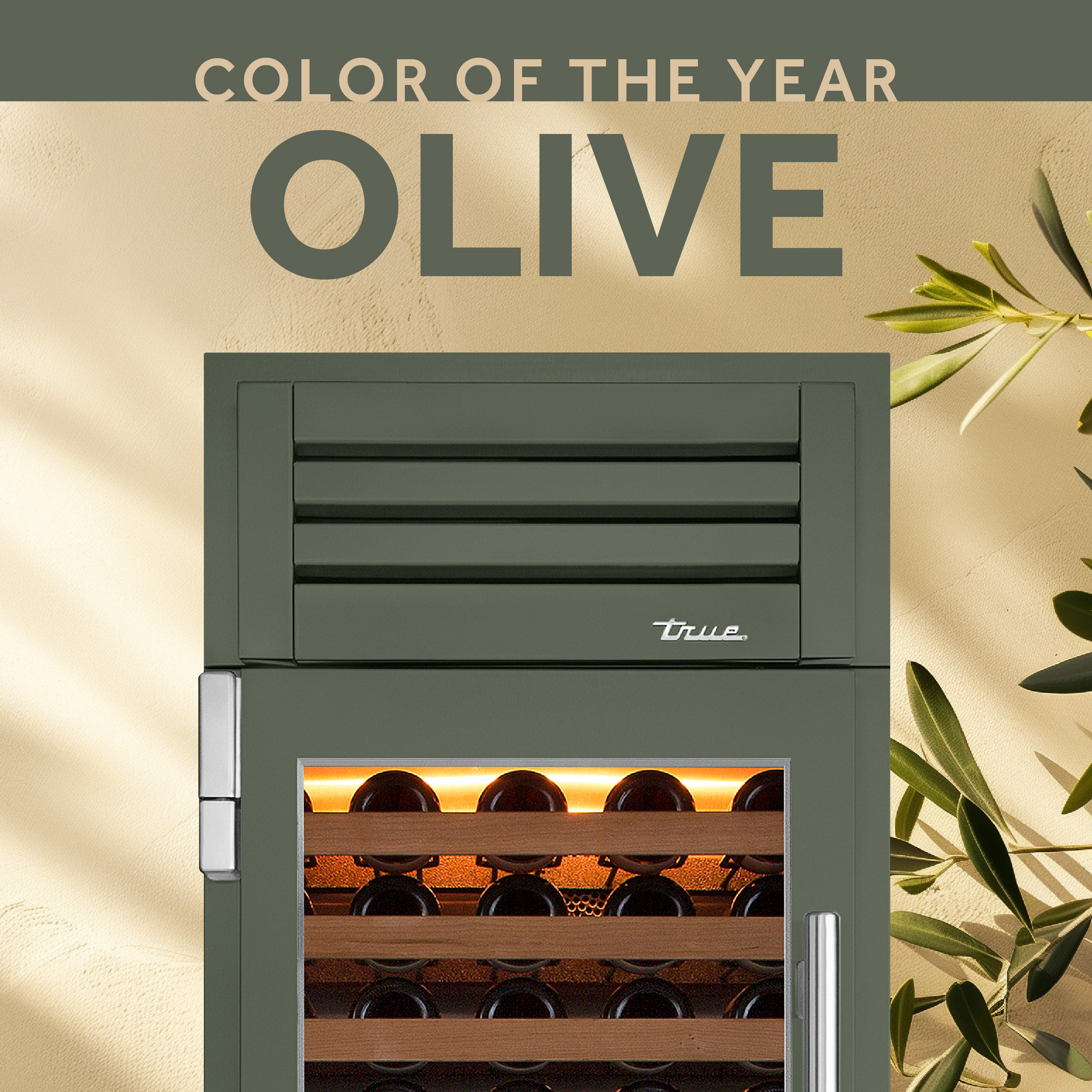 Color of the Year - Olive